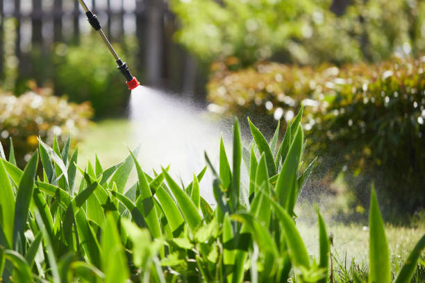 24/7 Emergency Ant Control experts in Sand Point, AK