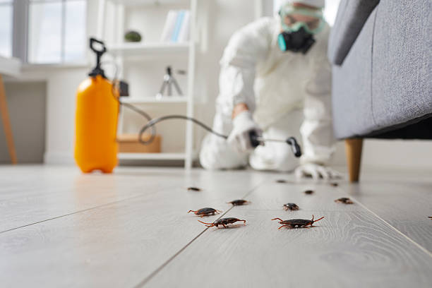 Trusted Fumigation Services service in Sand Point, AK - Nex Pest Control