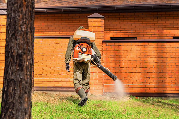 Trusted Termite Control service in Sand Point, AK - Nex Pest Control